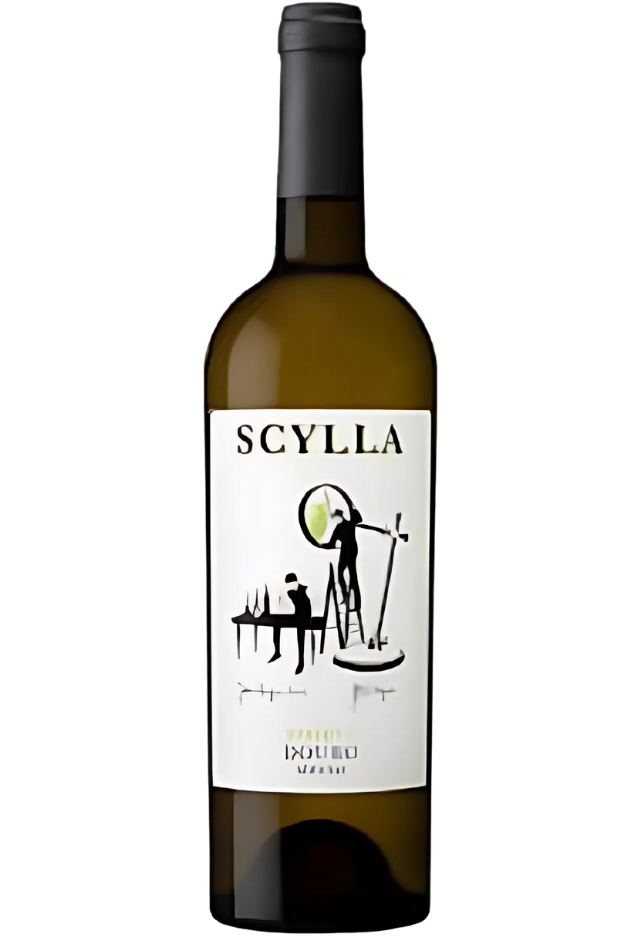 Scylla Reserve White