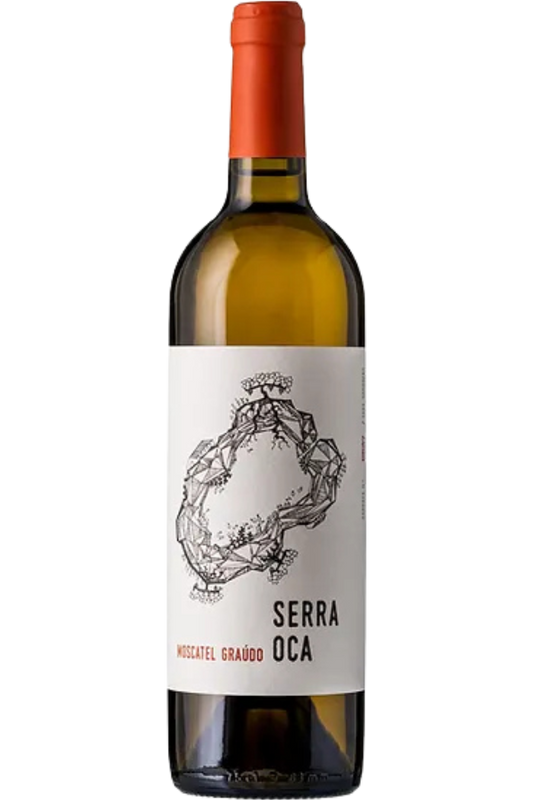 Quinta do Olival da Murta Serra Oca Moscatel Graúdo